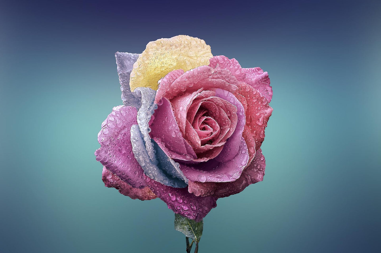 Floral - Our Version for Women by Coach