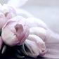 Bloom - Our Version for Women by Gucci