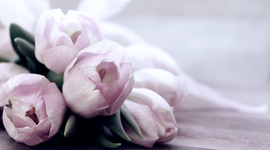 Bloom - Our Version for Women by Gucci